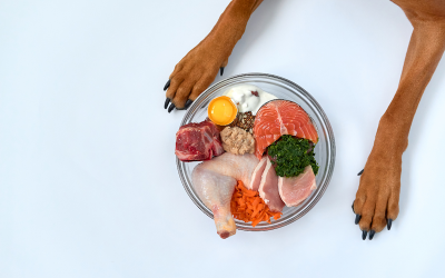 The Benefits of Raw Dog Food: Why It’s a Game-Changer for Your Pup